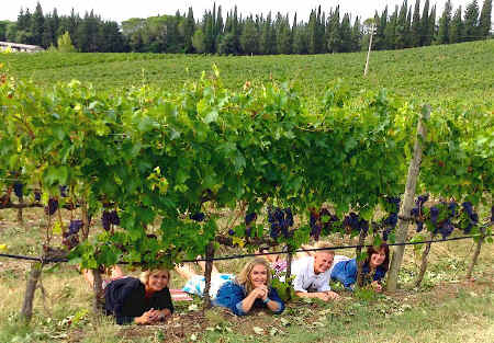 wine and vineyard_tour in Tuscany